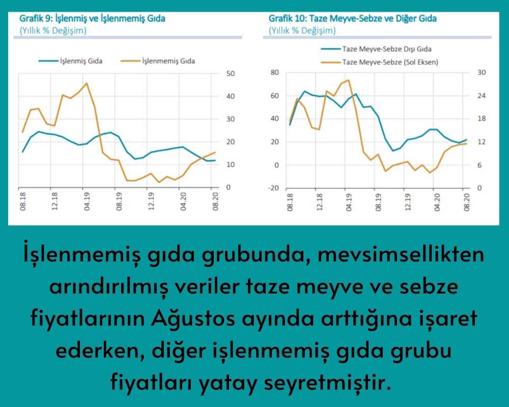 İşlenmemiş Gıda Enflasyonu İşlenmemiş Gıda Enflasyonu