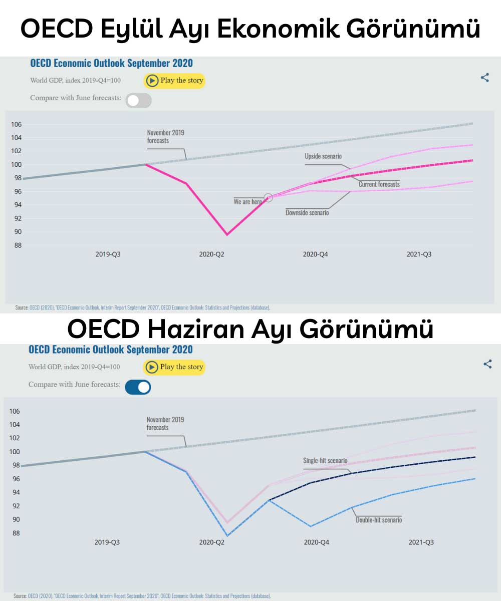 OECD Küresel Ekonomik Görünüm