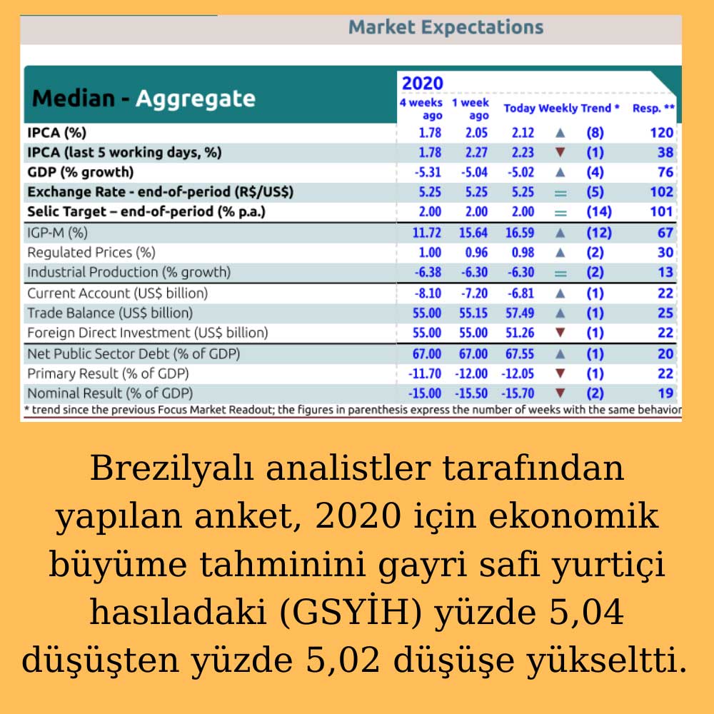 Brezilya Analist Anketi Brezilya Analist Anketi