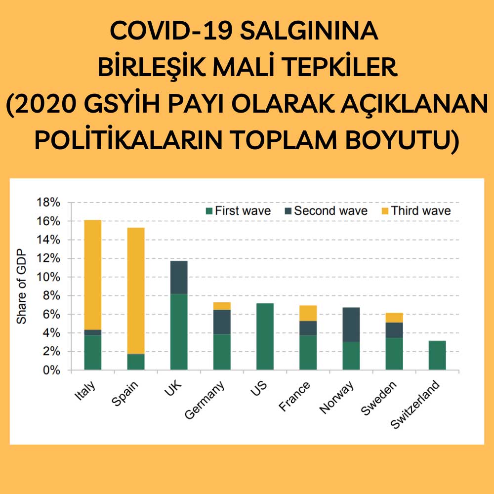 Covid Birleşik Mali Tepkiler Covid Birleşik Mali Tepkiler