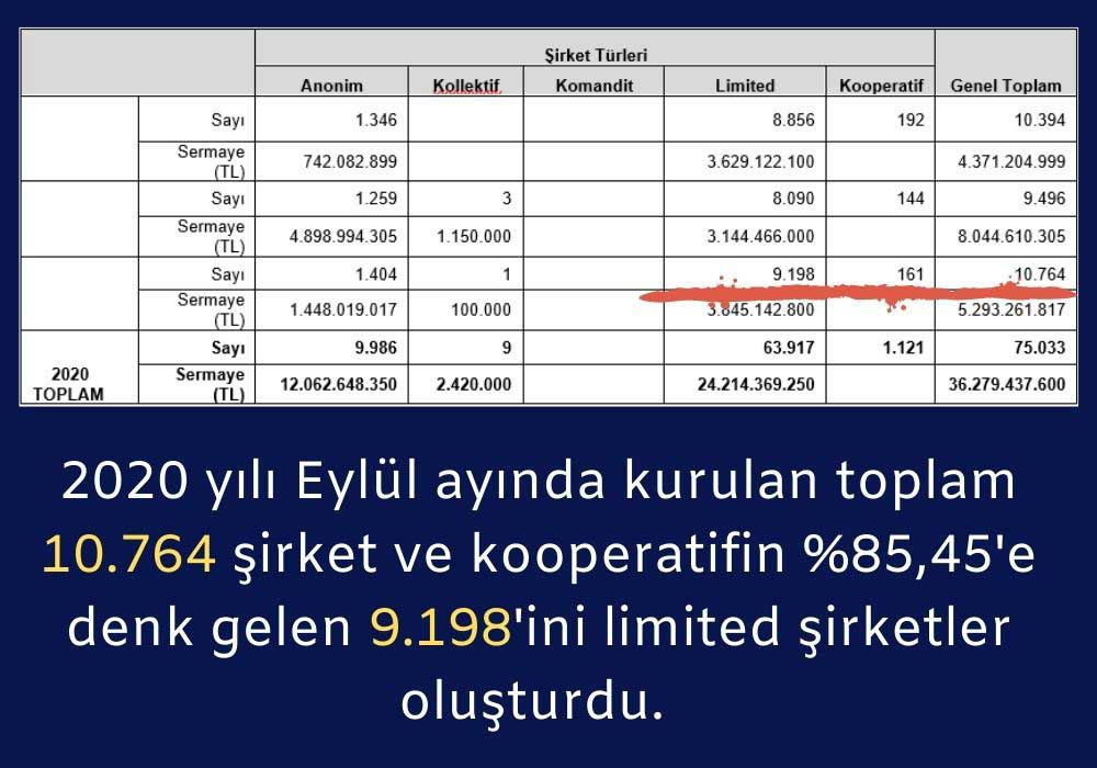 Kurulan Şirket Sayılarının Dağılımı Kurulan Şirket Sayılarının Dağılımı