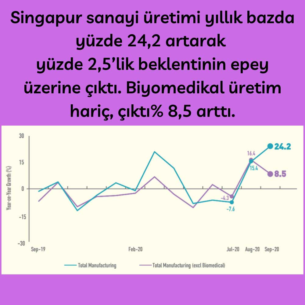 Singapur Sanayi Üretimi %24 Artış
