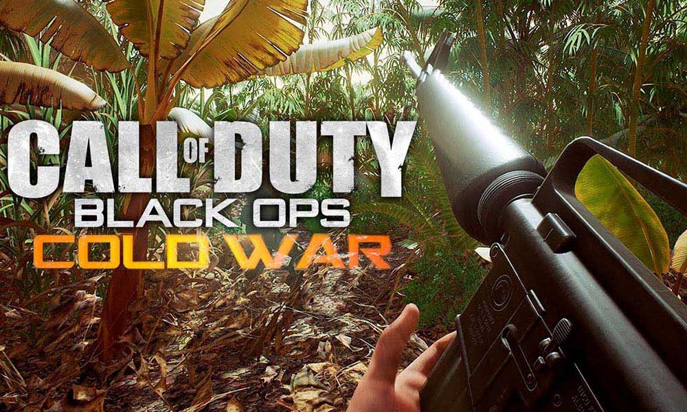 Call of Duty: Black Ops Cold War Sistem Gereksinimleri