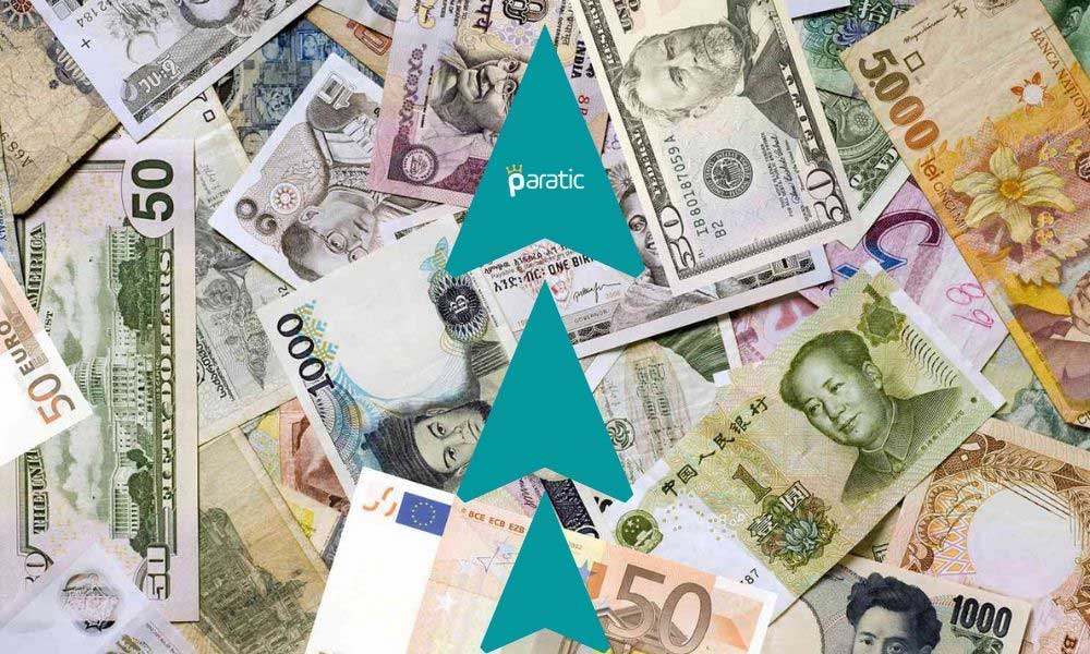 Yurt İçi Yerleşiklerin Döviz Mevduatları 221 Milyar Doları Aşarak Rekor Kırdı