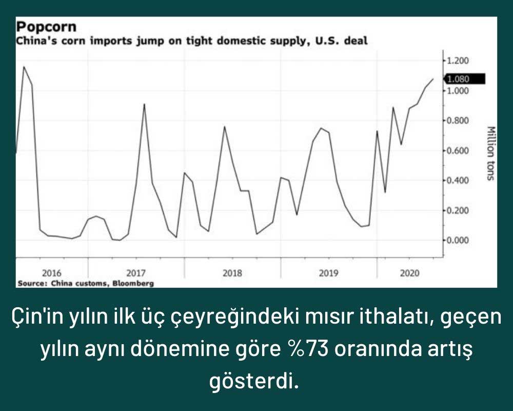 Çin Mısır İthalatı Çin Mısır İthalatı