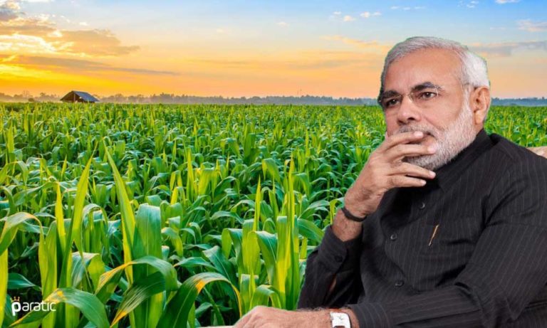 Hindistan’ın Tarım Sektörü “Eleştirilen” Reformlarla Güçlenecek