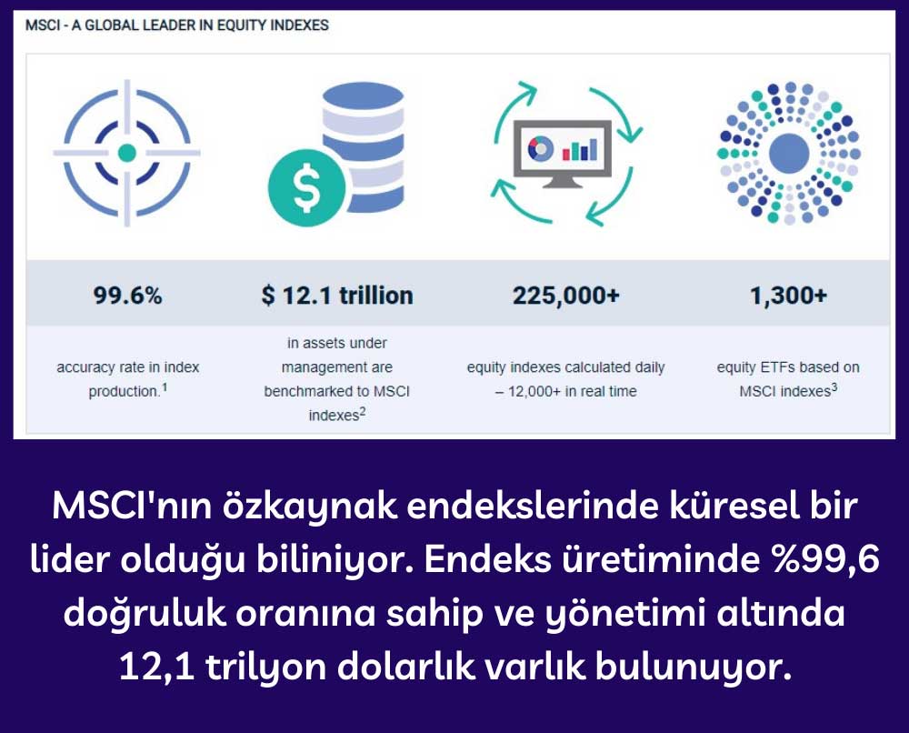 MSCI Endekslerinin Özellikleri MSCI Endekslerinin Özellikleri
