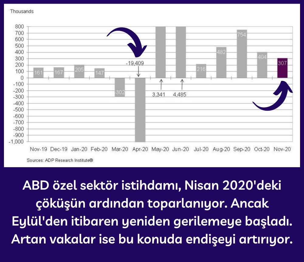 Tarım Dışı Özel Sektör İstihdamı - Kasım 2020 Tarım Dışı Özel Sektör İstihdamı - Kasım 2020