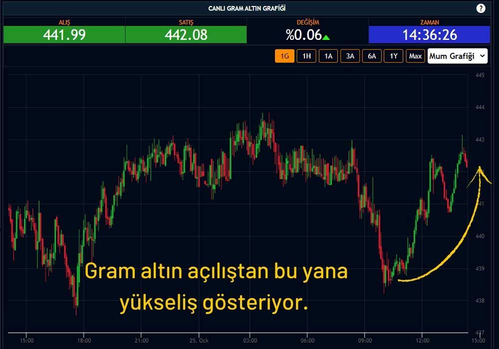 Gram Altın 443 TL Gram Altın 443 TL