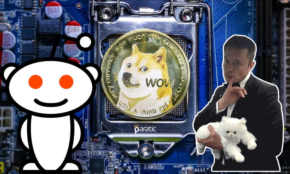 Dogecoin, Reddit ve Elon Musk Etkisiyle %800’den Fazla Yükseldi