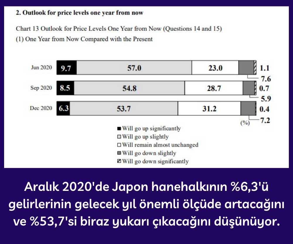 Japonya Merkez Bankası Anket