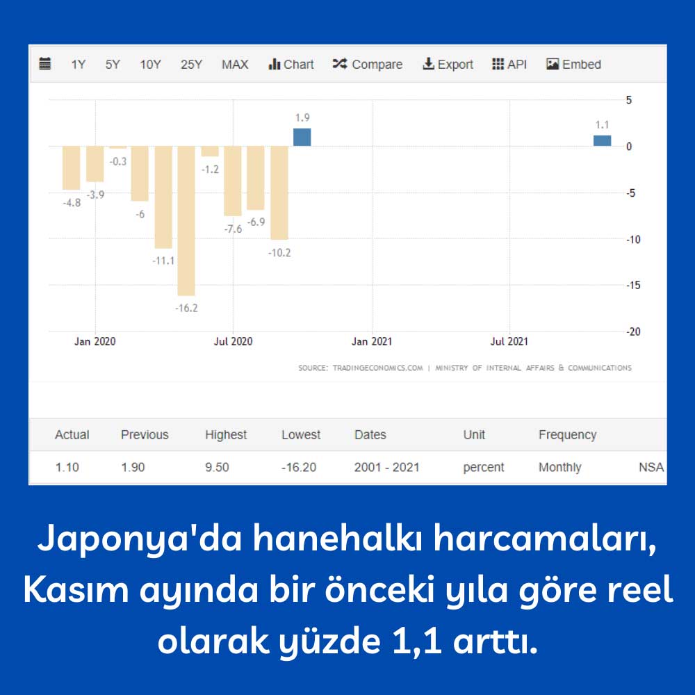 Japon Hanehalkı Harcamaları Kasım