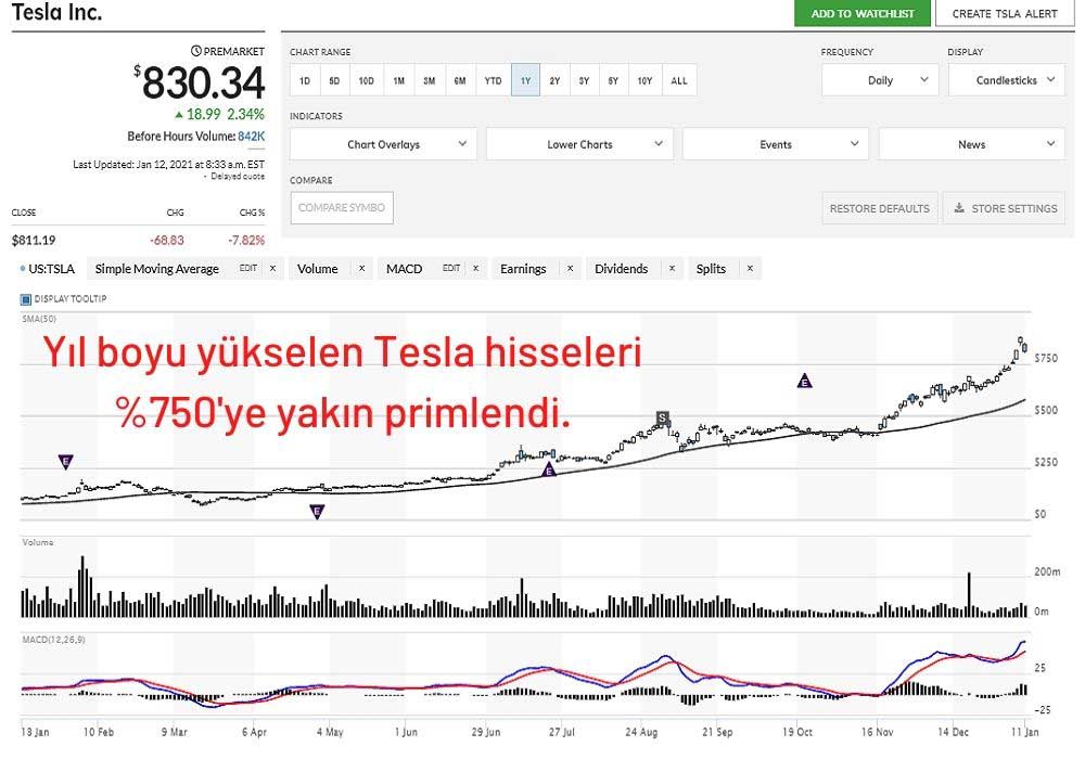Tesla Hisse Performansı