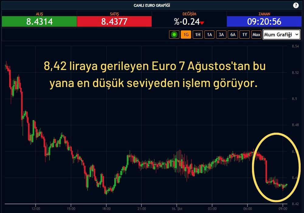 Euro Kuru 8,43