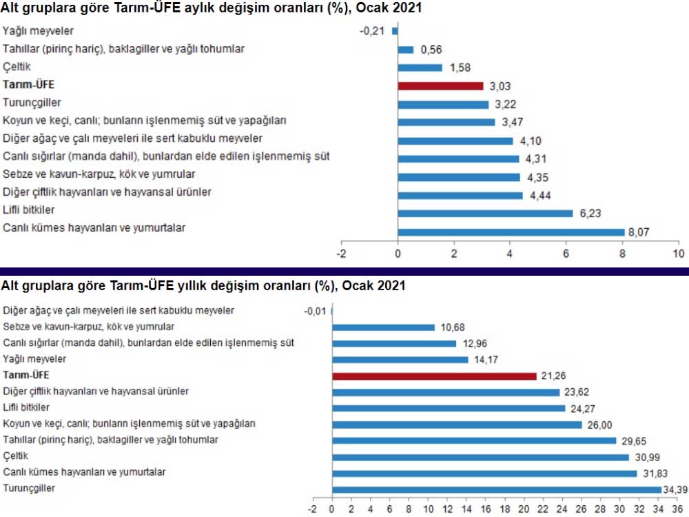 Alt Grupların Aylık ve Yıllık Değişimleri Alt Grupların Aylık ve Yıllık Değişimleri