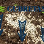 Gübretaş Hisseleri Potasyum Talebinin Azalacağı Endişesiyle Değer Kaybediyor