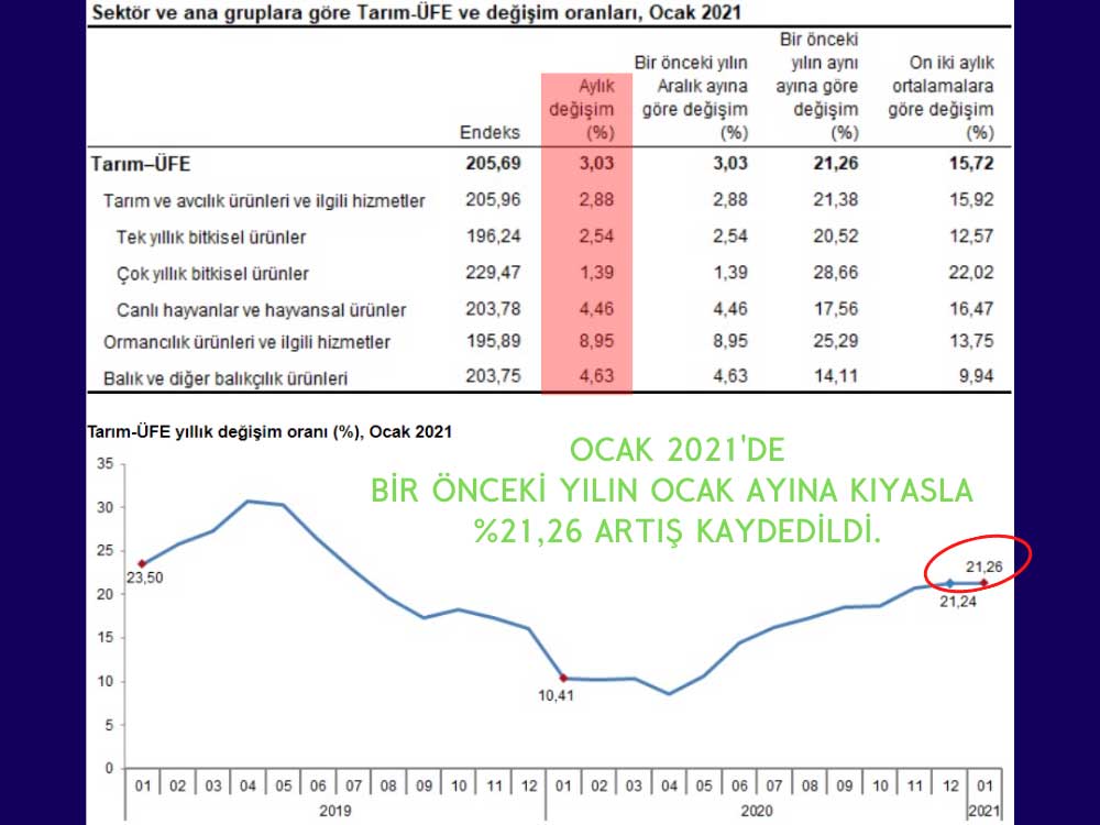 Ocak'ta Tüm Sektörlerde Artış Kaydedildi Ocak'ta Tüm Sektörlerde Artış Kaydedildi