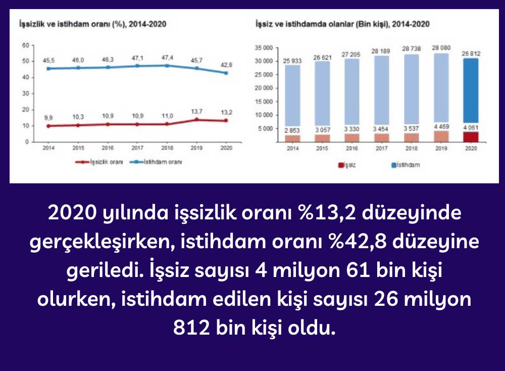 2020 Türkiye İşsizlik ve İstihdam Oranı