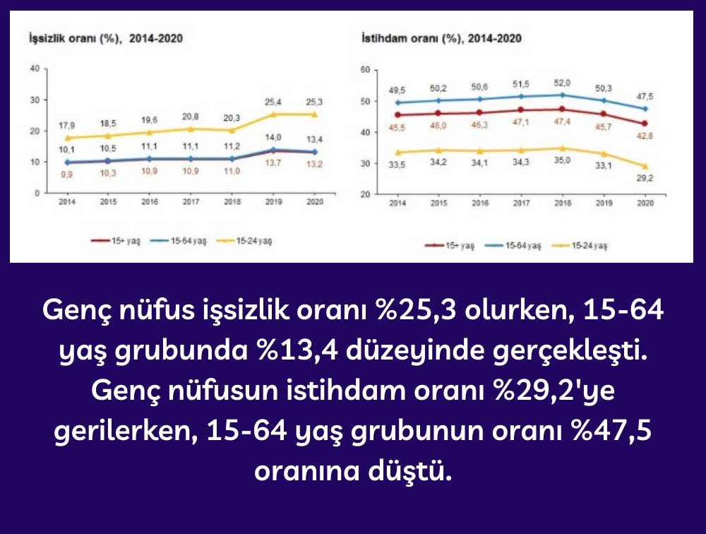 2020 Türkiye Yaş Gruplarına Göre İşsizlik ve İstihdam Oranı