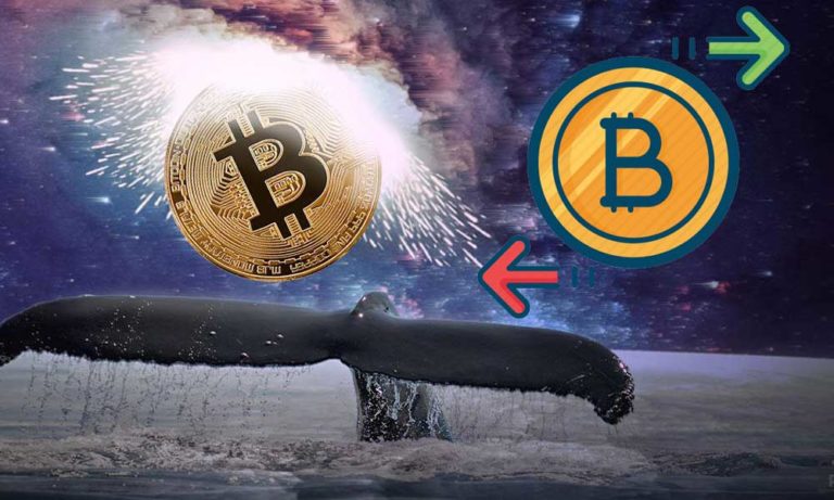 Balinalar Saatte 1 Milyar Dolar Bitcoin’i Bilinmeyen Cüzdanlara Taşıdı
