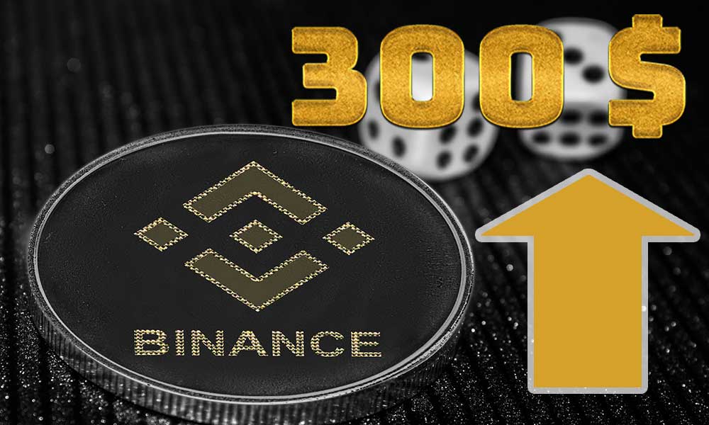 Binance Coin (BNB) Yeniden İvmelendi ve 300 Doları Kırmayı Hedefliyor