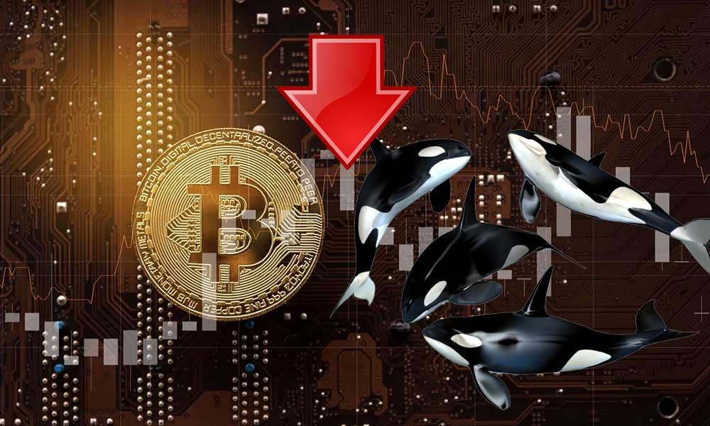 Bitcoin’in 60 Bin Doları Geçmesi Balinaların Satışlarını Artırdı