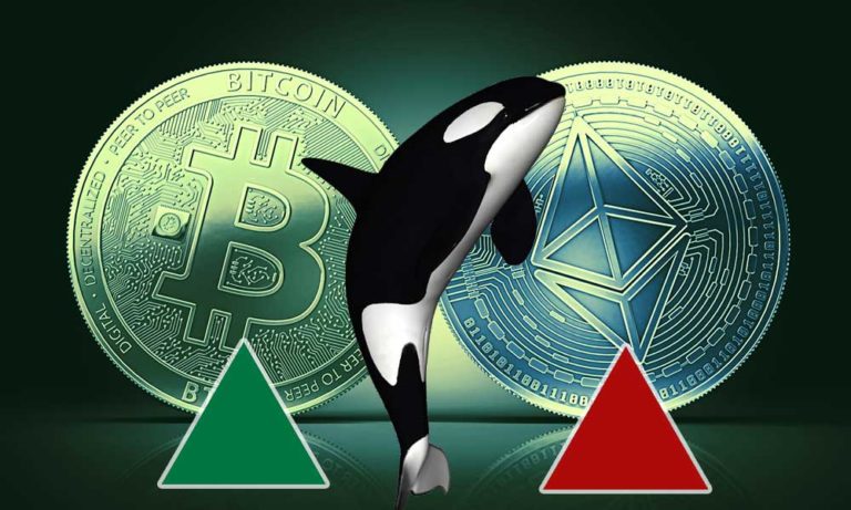 Bitcoin ve Ethereum Balinaları Yeni Bir Ralli için Hazırlanıyor