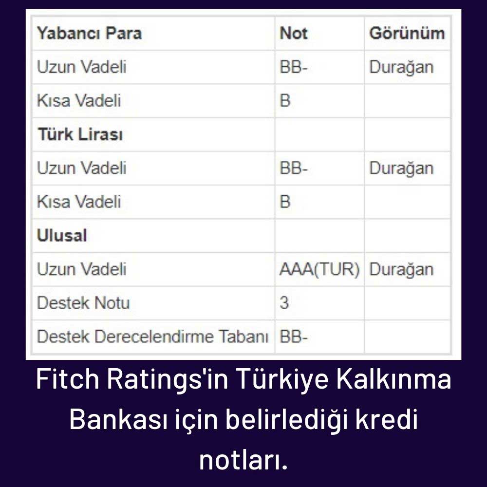 Fitch Ratings, Türkiye Kalkınma ve Yatırım Bankası Değerlendirmesi