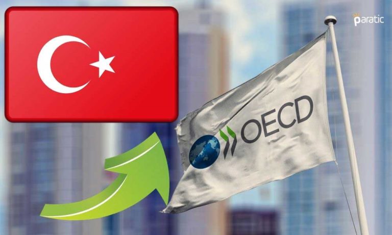 Türk Lirası, OECD’nin Ekonomik Büyüme Beklentisini Yükseltmesiyle Güçlendi