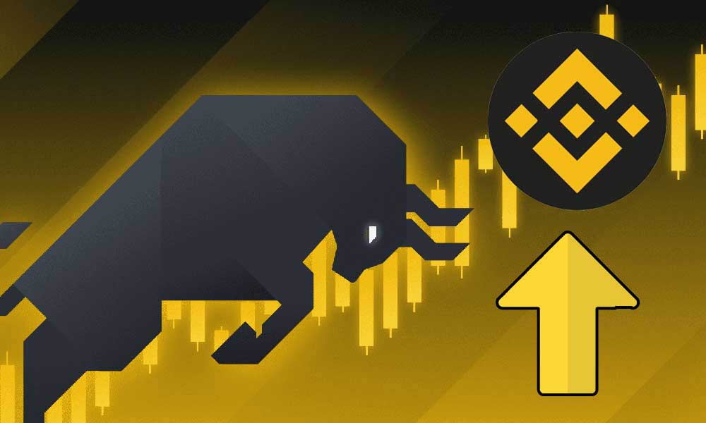 Binance Coin 300 Doların Üzerinde Kaldığı Sürece Boğalar Yeni ATH Hedefleyebilir