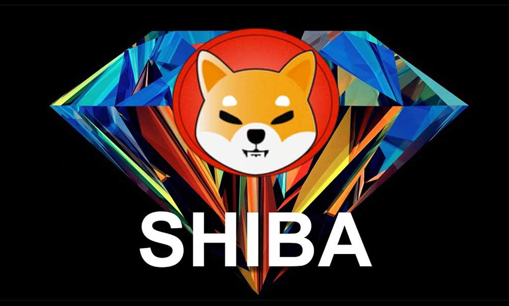 Binance, Elon Musk’ın Gözdesi SHIBA INU’yu Listeleyeceğini Duyurdu