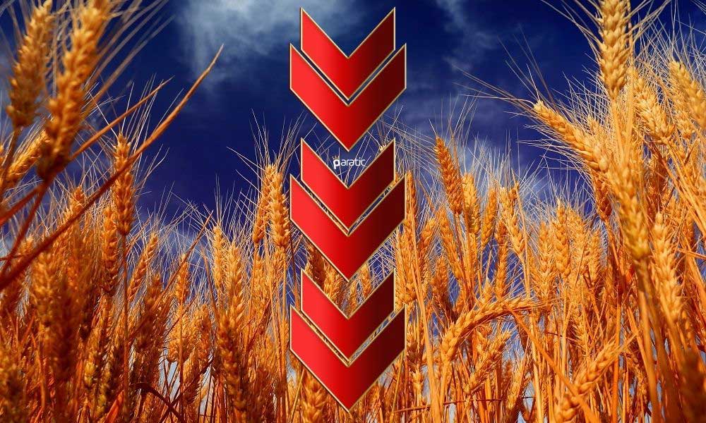 Buğday Emtiası Günün Kaybettireni Olurken, Petrolde Artış Sürüyor