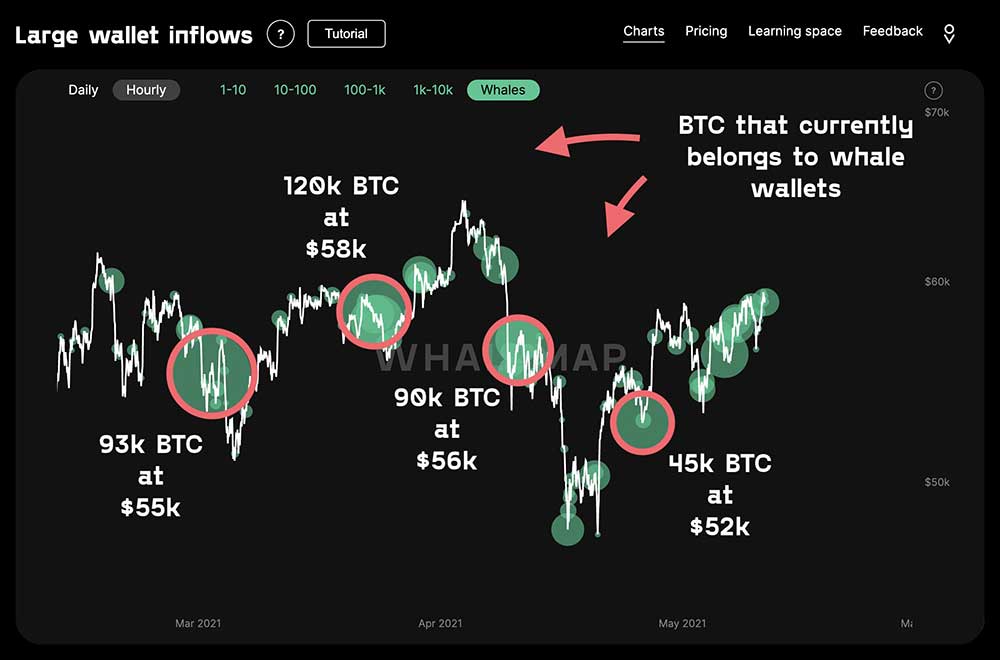 BTC balina cüzdanları BTC balina cüzdanları