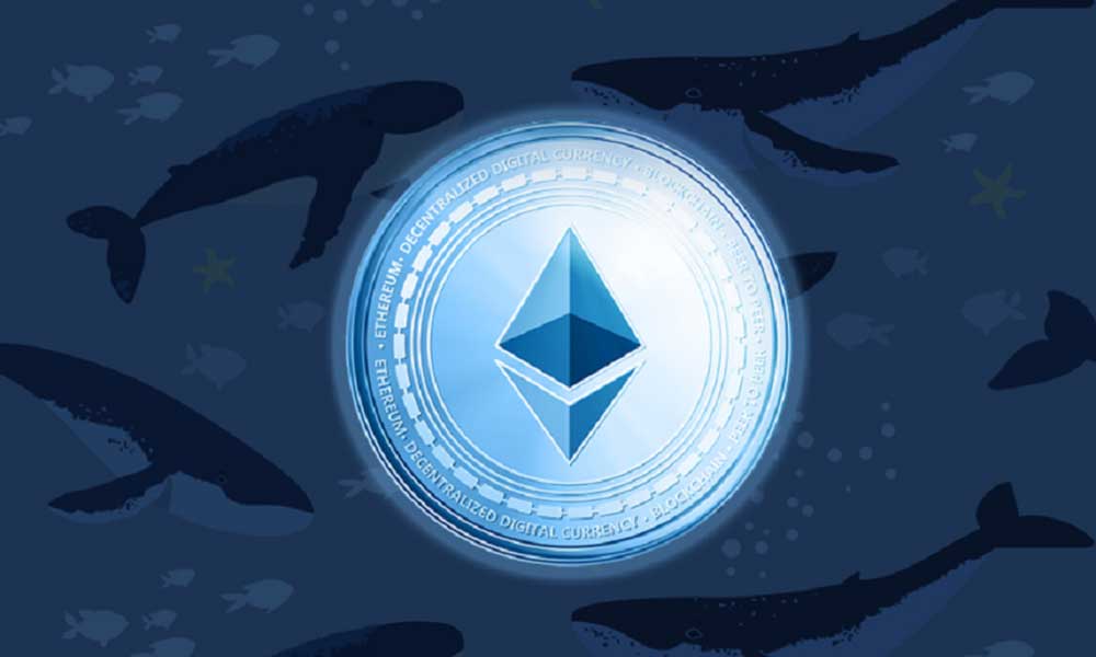 Ethereum 4 Bin Doları Geçerken Balinalar Transferlerini Hızlandırdı Ethereum 4 Bin Doları Geçerken Balinalar Transferlerini Hızlandırdı