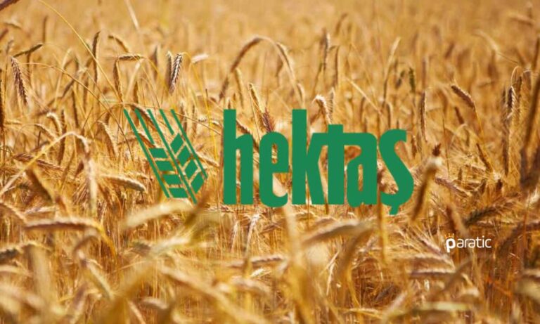 Hektaş, 12 Bin Yıllık Siyez Buğdaylarının Üretimini Yapacak