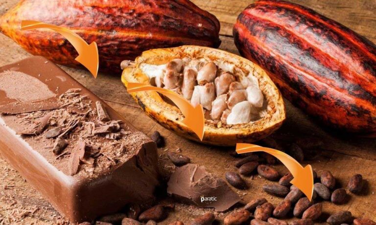 Kakao Hariç Tüm Emtialarda Fiyatlar Yukarı Yönde Seyrediyor