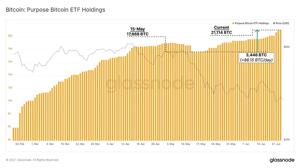Purpose Bitcoin ETF grafiği