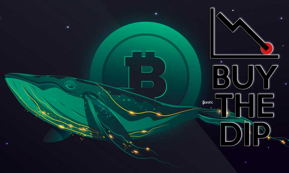 Bitcoin Balinaları Düşüşleri Alım Fırsatı Olarak Değerlendiriyor Bitcoin Balinaları Düşüşleri Alım Fırsatı Olarak Değerlendiriyor