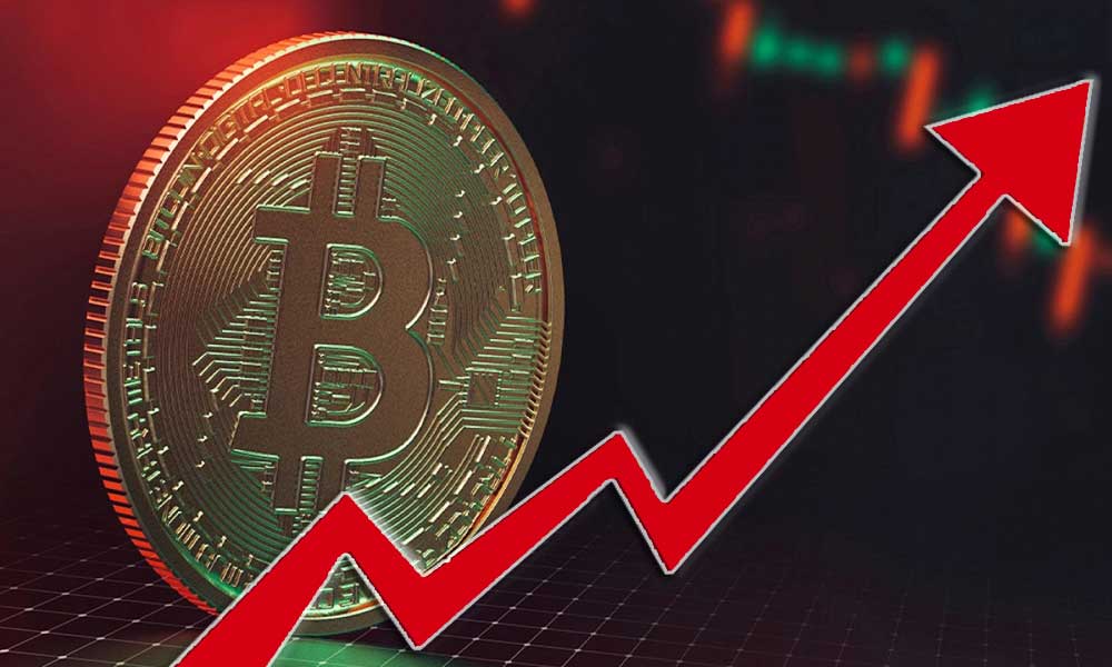 Bitcoin’in Kripto Para Piyasası Hakimiyeti Yeniden %48’in Üzerine Çıktı