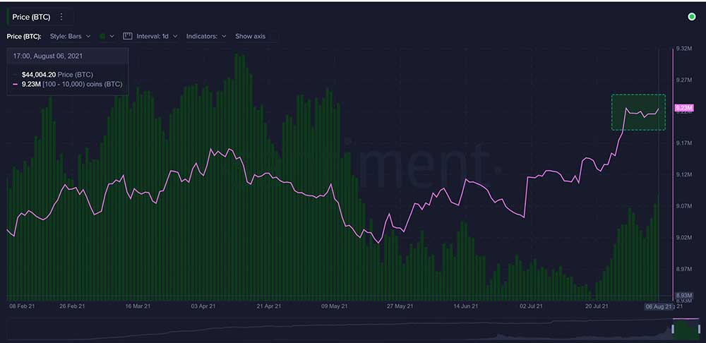 Balinalar BTC satmıyor Balinalar BTC satmıyor