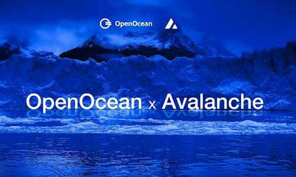 OpenOcean'dan Yeni Ortaklık