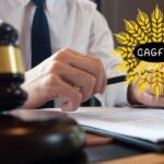 Rekabet Kurumu Tarafından Soruşturma Açılan Bagfaş Hisseleri %7 Düştü