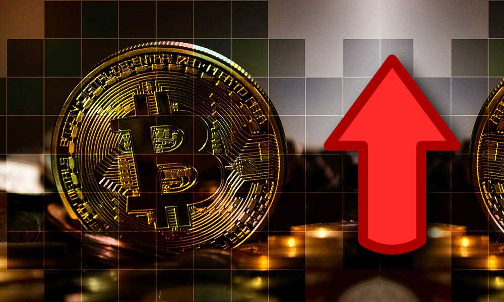 Bitcoin Balinaları Geçen Hafta 40 Bin BTC Biriktirdi