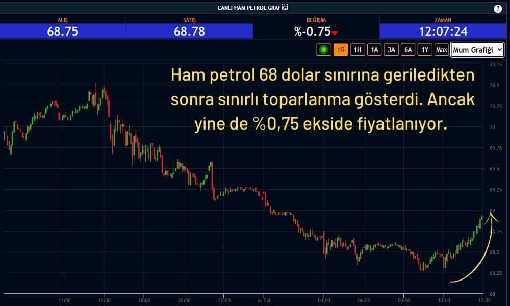 Ham Petrol 68,78 Dolar Ham Petrol 68,78 Dolar