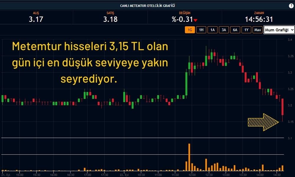 Metemtur Hisseleri %0,30 Ekside Metemtur Hisseleri %0,30 Ekside