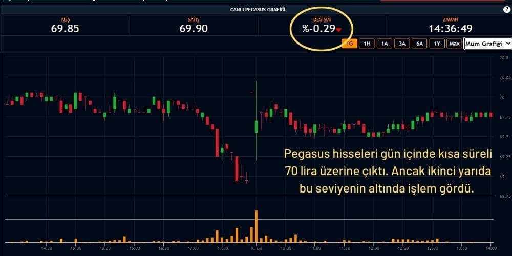 Pegasus Hisseleri %0,29 Ekside