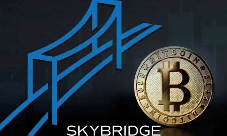 SkyBridge, Algorand Fonu ve ETF için 100 Milyon Dolar Topladı