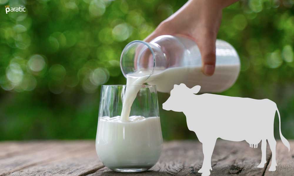 Temmuz’da Türkiye Genelinde Toplanan Süt Miktarı %1,6 Arttı