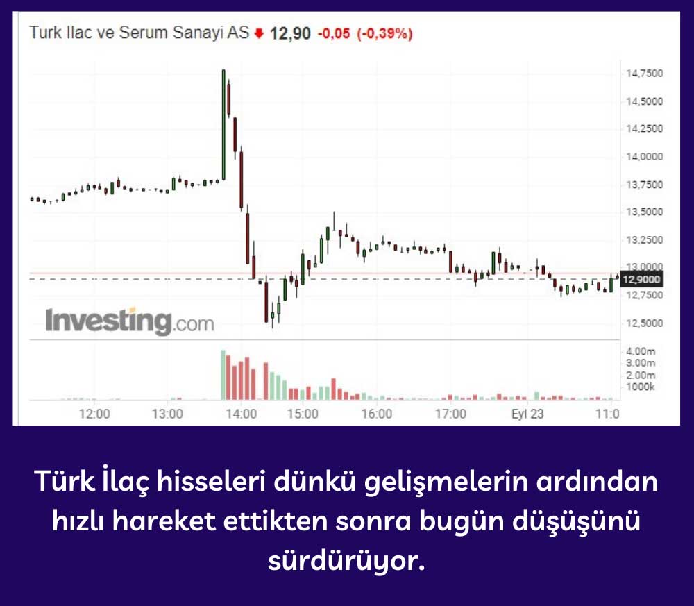 Türk İlaç Hisseleri Yüzde 0,39 Düşüş