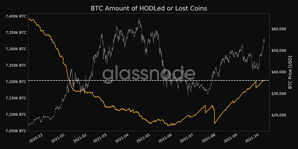 Bitcoin Hodled ve Lost Coins tablosu